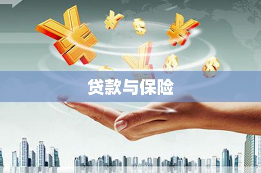 囊谦贷款与保险