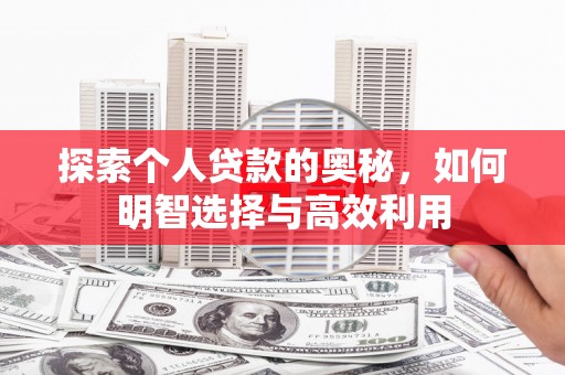 囊谦探索个人贷款的奥秘，如何明智选择与高效利用