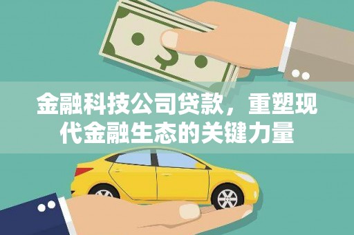 囊谦金融科技公司贷款，重塑现代金融生态的关键力量