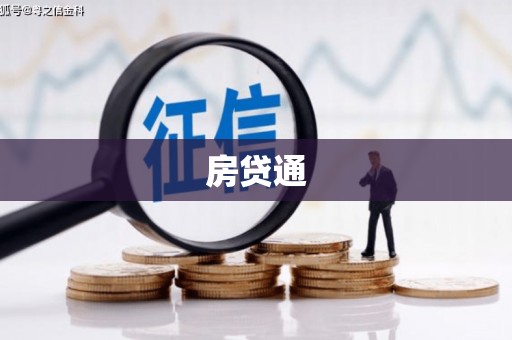 囊谦房贷通