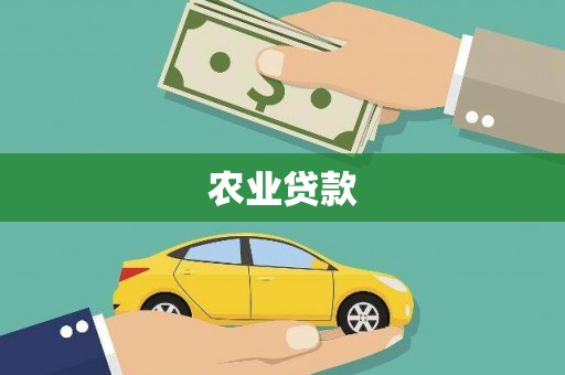 囊谦农业贷款