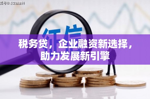 囊谦税务贷，企业融资新选择，助力发展新引擎