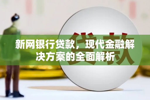 囊谦新网银行贷款，现代金融解决方案的全面解析