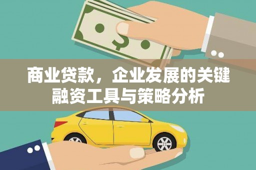囊谦商业贷款，企业发展的关键融资工具与策略分析