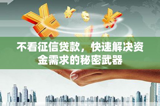 囊谦不看征信贷款，快速解决资金需求的秘密武器