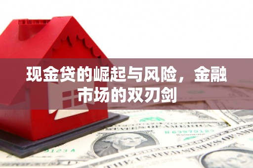 囊谦现金贷的崛起与风险，金融市场的双刃剑