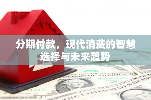 囊谦分期付款，现代消费的智慧选择与未来趋势