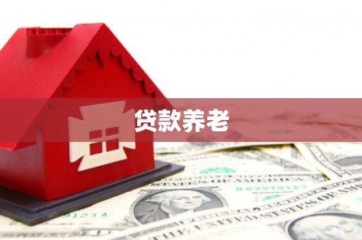 囊谦贷款养老