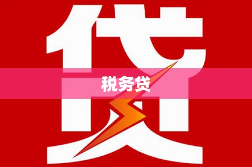 囊谦税务贷