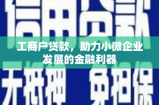 囊谦工商户贷款，助力小微企业发展的金融利器