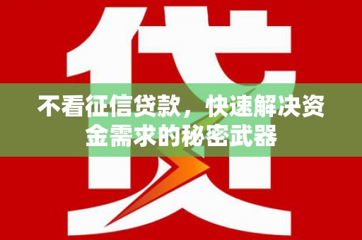 囊谦不看征信贷款，快速解决资金需求的秘密武器