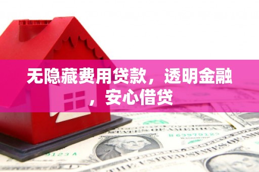 囊谦无隐藏费用贷款，透明金融，安心借贷