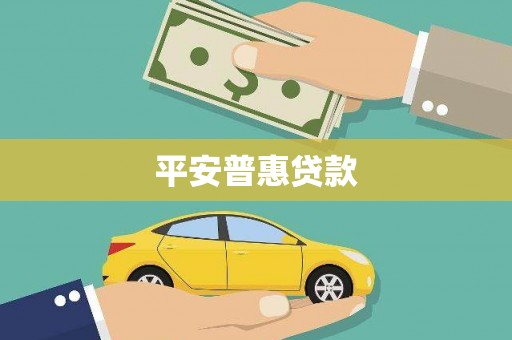 囊谦平安普惠贷款