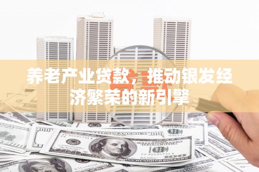 囊谦养老产业贷款，推动银发经济繁荣的新引擎