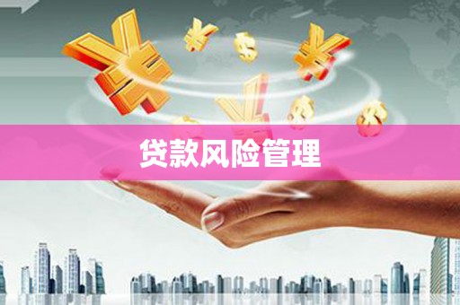 囊谦贷款风险管理