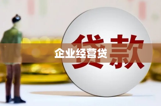 囊谦企业经营贷