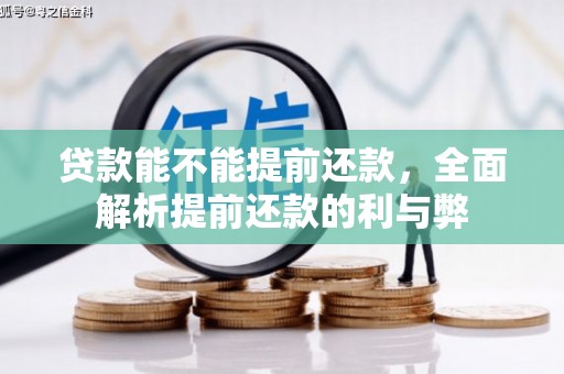 囊谦贷款能不能提前还款，全面解析提前还款的利与弊