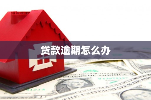 囊谦贷款逾期怎么办