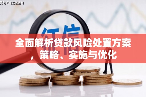囊谦全面解析贷款风险处置方案，策略、实施与优化