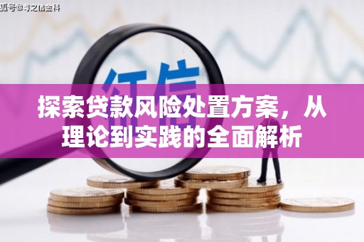 囊谦探索贷款风险处置方案，从理论到实践的全面解析