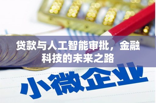 囊谦贷款与人工智能审批，金融科技的未来之路