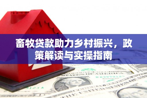 囊谦畜牧贷款助力乡村振兴，政策解读与实操指南