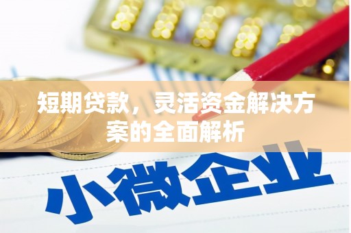 囊谦短期贷款，灵活资金解决方案的全面解析