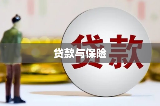 囊谦贷款与保险