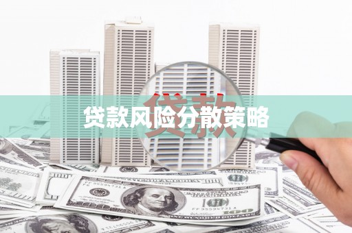 囊谦贷款风险分散策略