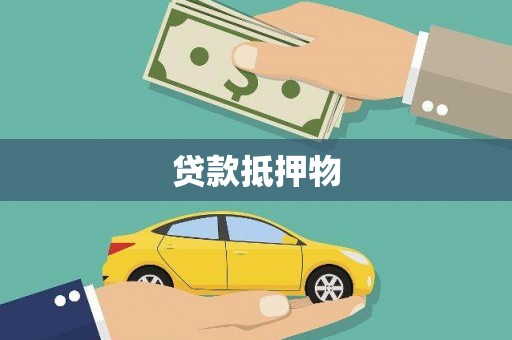 囊谦贷款抵押物