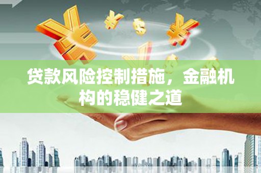 囊谦贷款风险控制措施，金融机构的稳健之道
