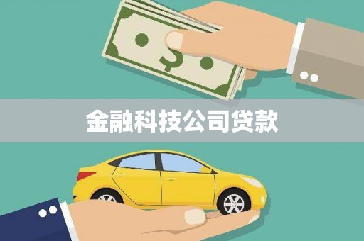 囊谦金融科技公司贷款