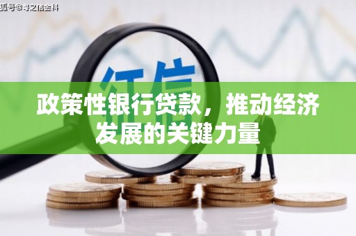 囊谦政策性银行贷款，推动经济发展的关键力量