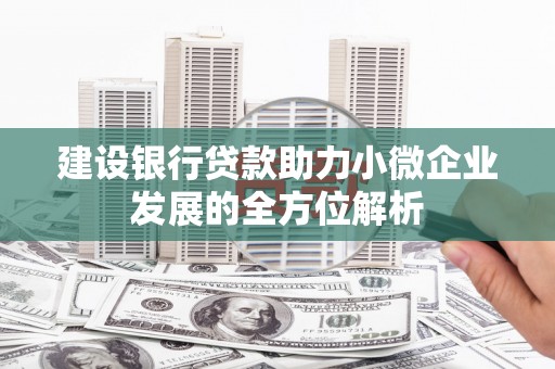 囊谦建设银行贷款助力小微企业发展的全方位解析