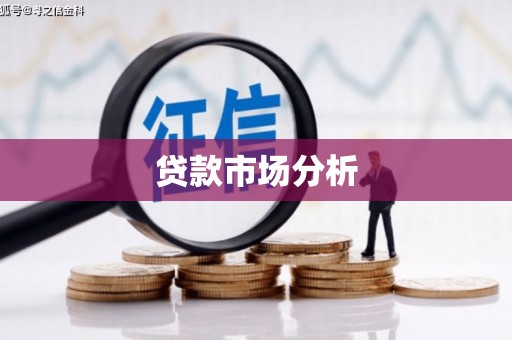 囊谦贷款市场分析