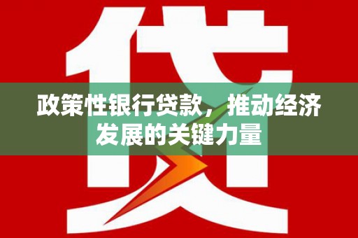 囊谦政策性银行贷款，推动经济发展的关键力量