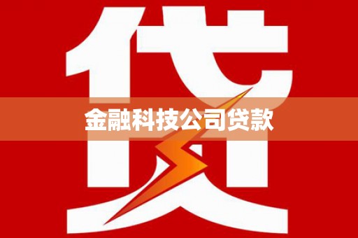 囊谦金融科技公司贷款