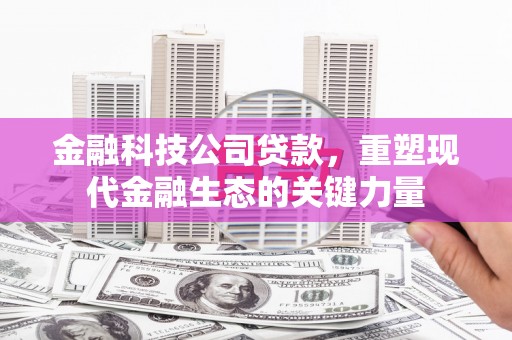 囊谦金融科技公司贷款，重塑现代金融生态的关键力量