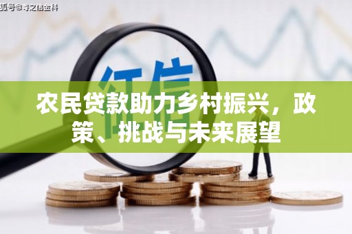 囊谦农民贷款助力乡村振兴，政策、挑战与未来展望