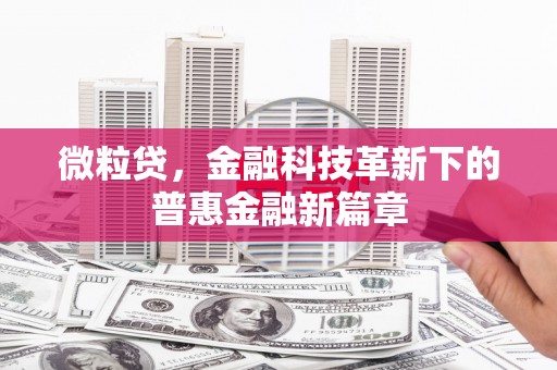 囊谦微粒贷，金融科技革新下的普惠金融新篇章