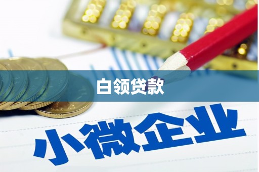 囊谦白领贷款