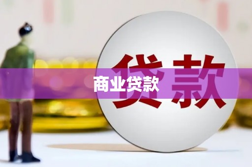 囊谦商业贷款