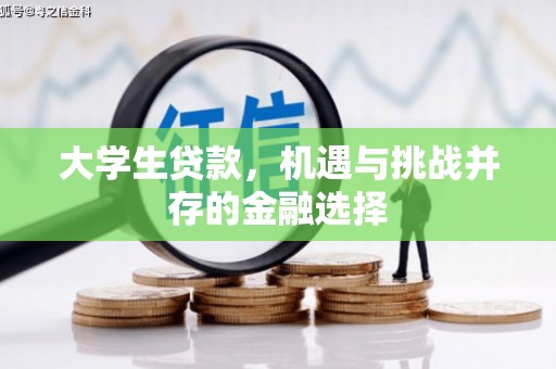 囊谦大学生贷款，机遇与挑战并存的金融选择