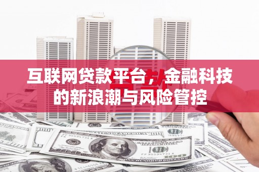 囊谦互联网贷款平台，金融科技的新浪潮与风险管控