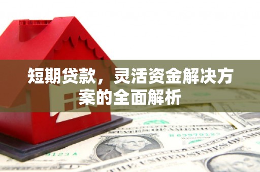 囊谦短期贷款，灵活资金解决方案的全面解析