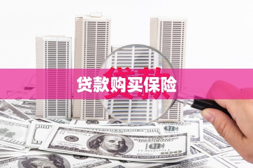 囊谦贷款购买保险