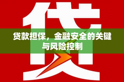 囊谦贷款担保，金融安全的关键与风险控制