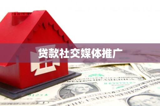 囊谦贷款社交媒体推广