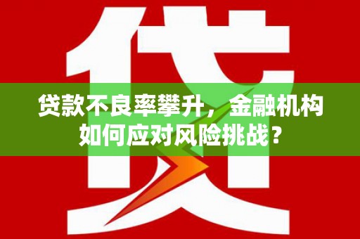 囊谦贷款不良率攀升，金融机构如何应对风险挑战？