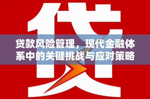 囊谦贷款风险管理，现代金融体系中的关键挑战与应对策略